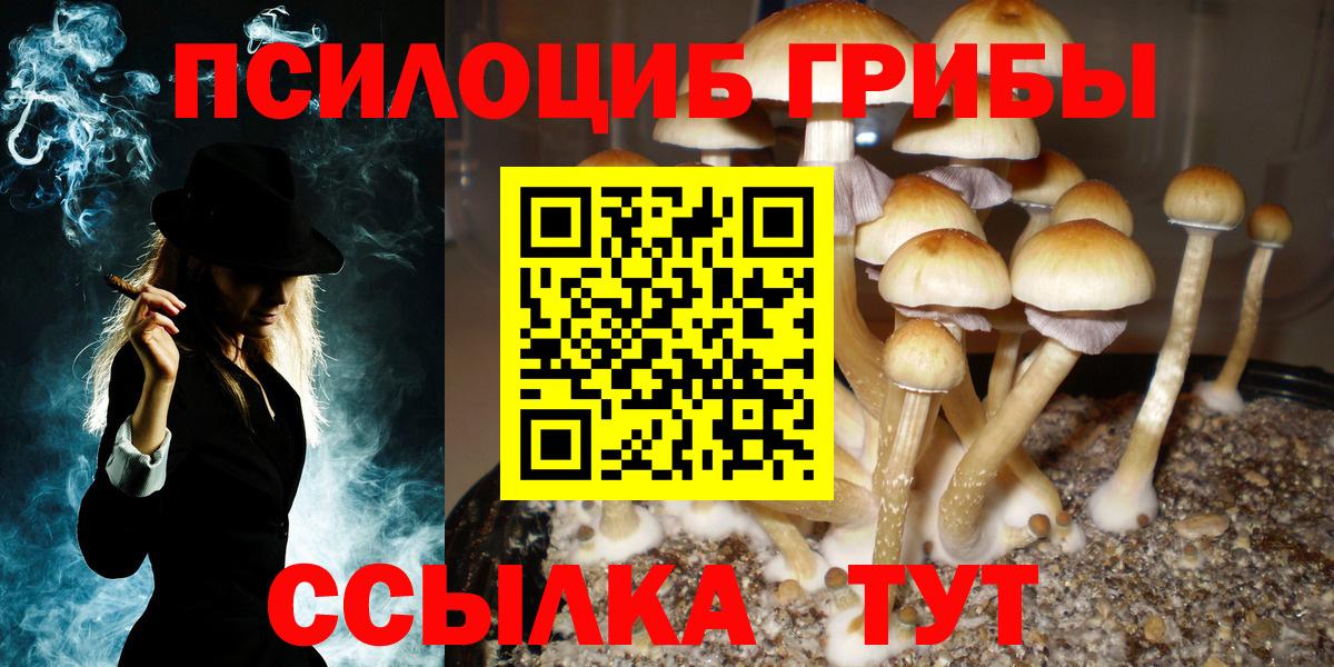 Галлюциногенные грибы мухоморы Элиста